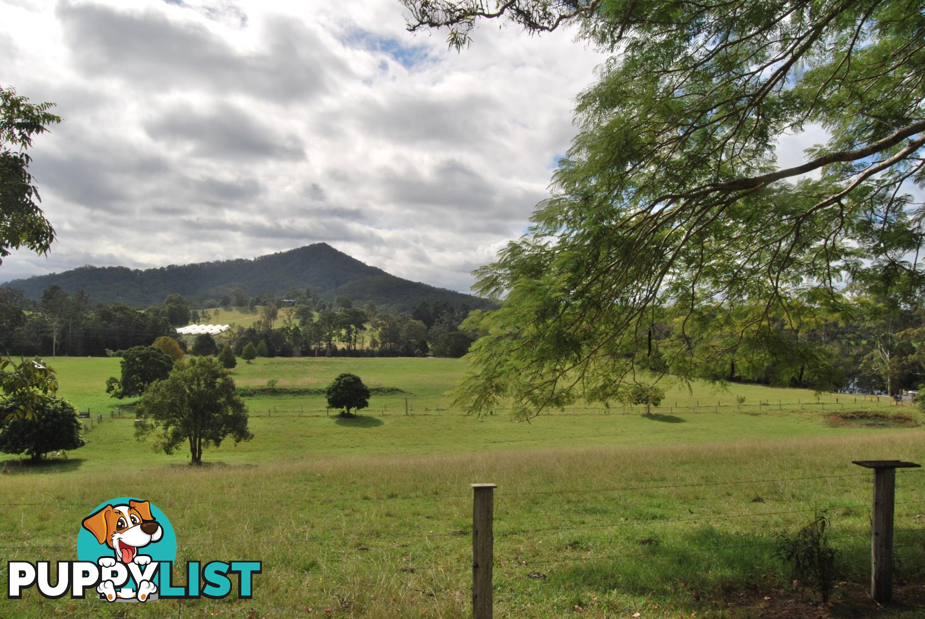 126 Deep Creek Road VALLA NSW 2448