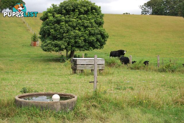 126 Deep Creek Road VALLA NSW 2448