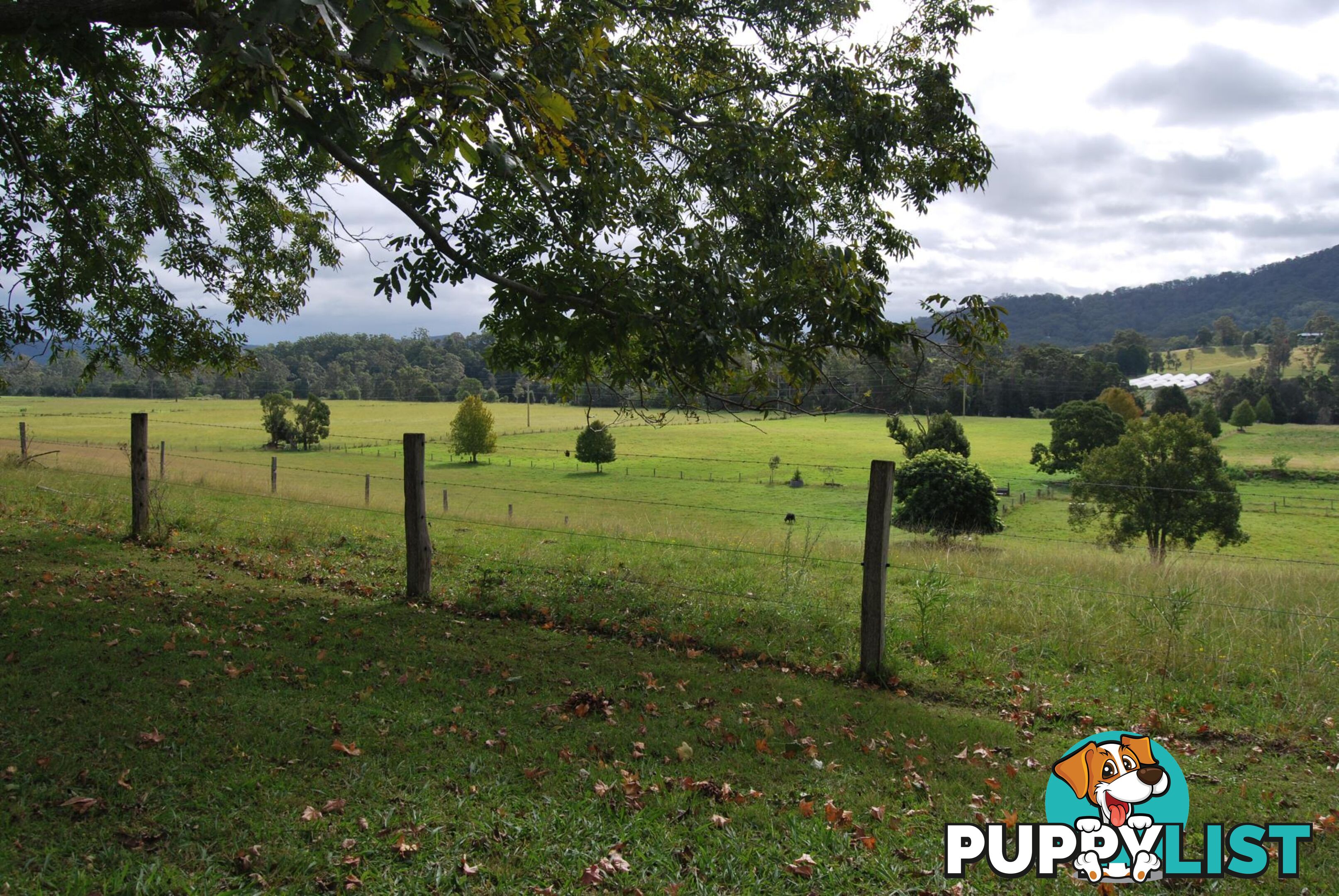 126 Deep Creek Road VALLA NSW 2448
