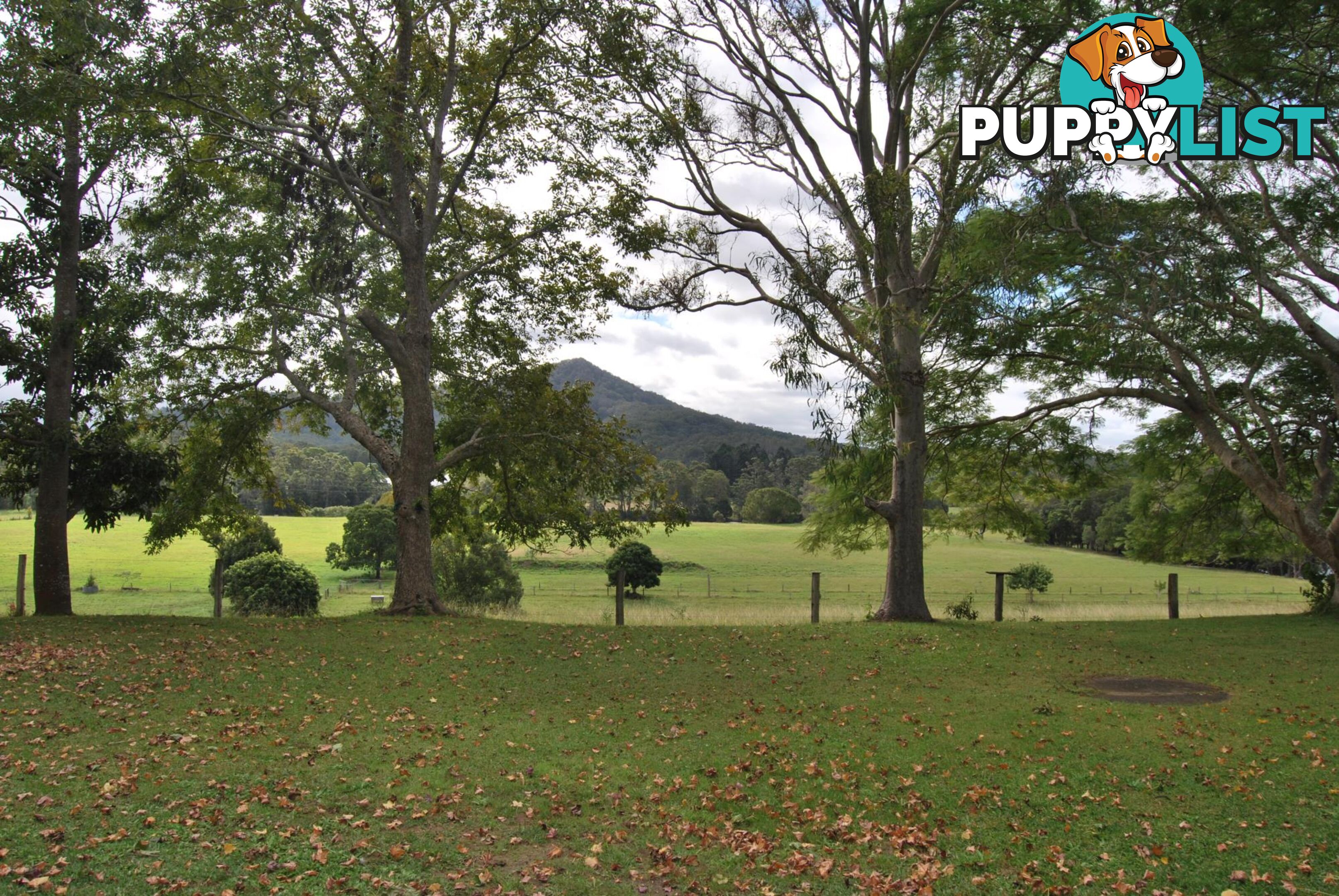 126 Deep Creek Road VALLA NSW 2448