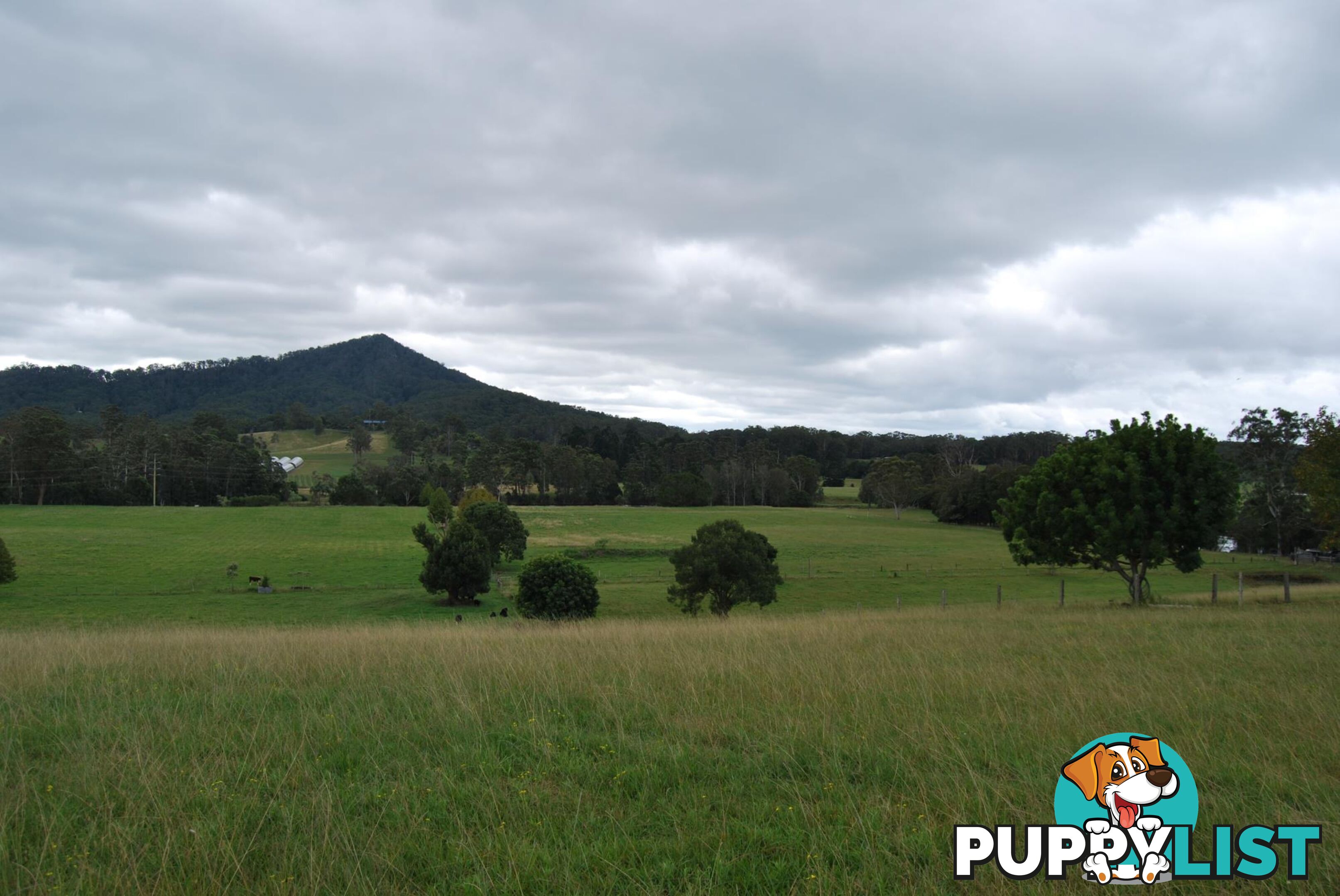 126 Deep Creek Road VALLA NSW 2448
