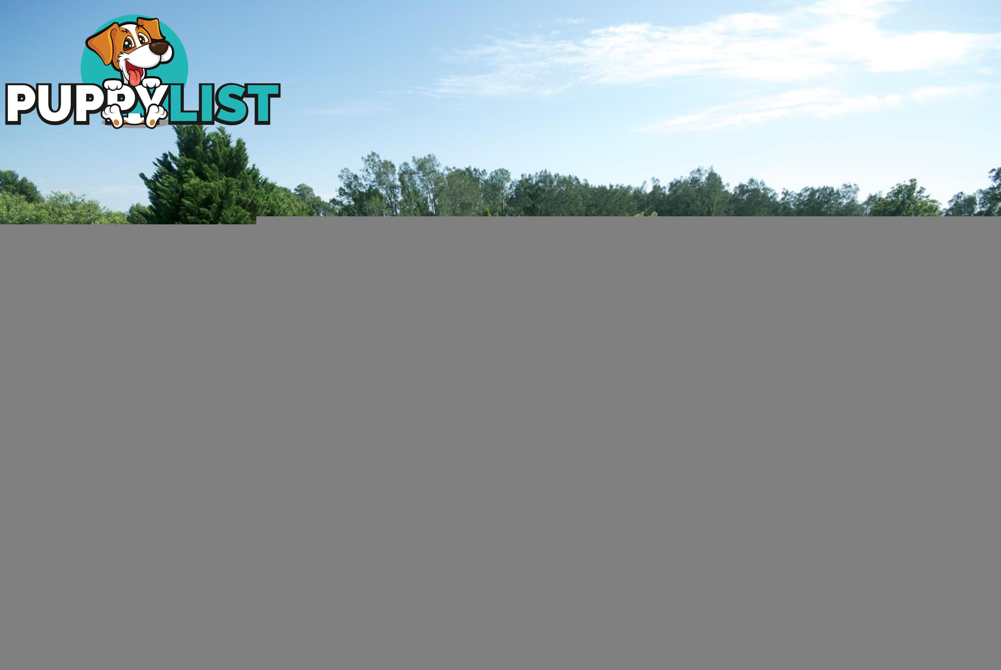 Lot 15 Rosemary Gardens MACKSVILLE NSW 2447
