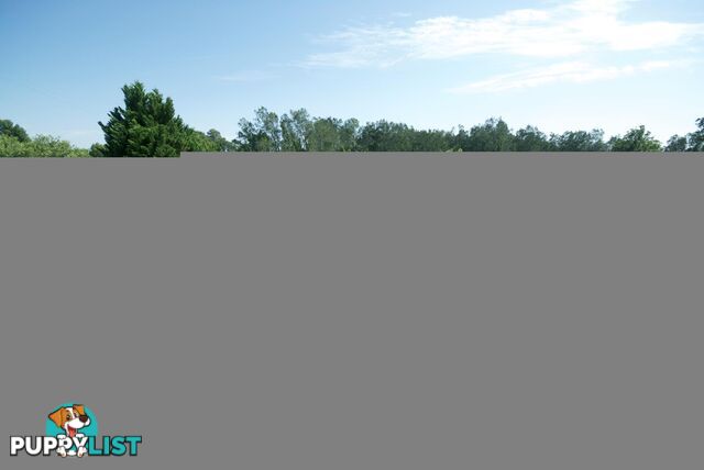 Lot 15 Rosemary Gardens MACKSVILLE NSW 2447