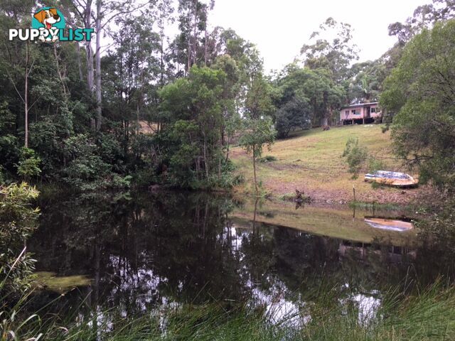 115 Millers Road NEWEE CREEK NSW 2447