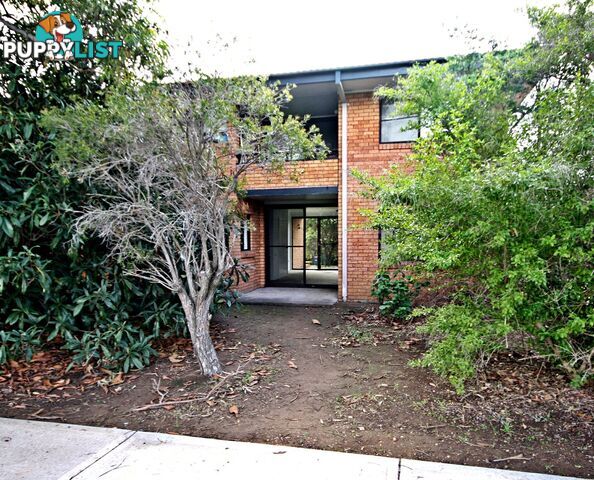 4/6 The Grov Skellatar Street MUSWELLBROOK NSW 2333