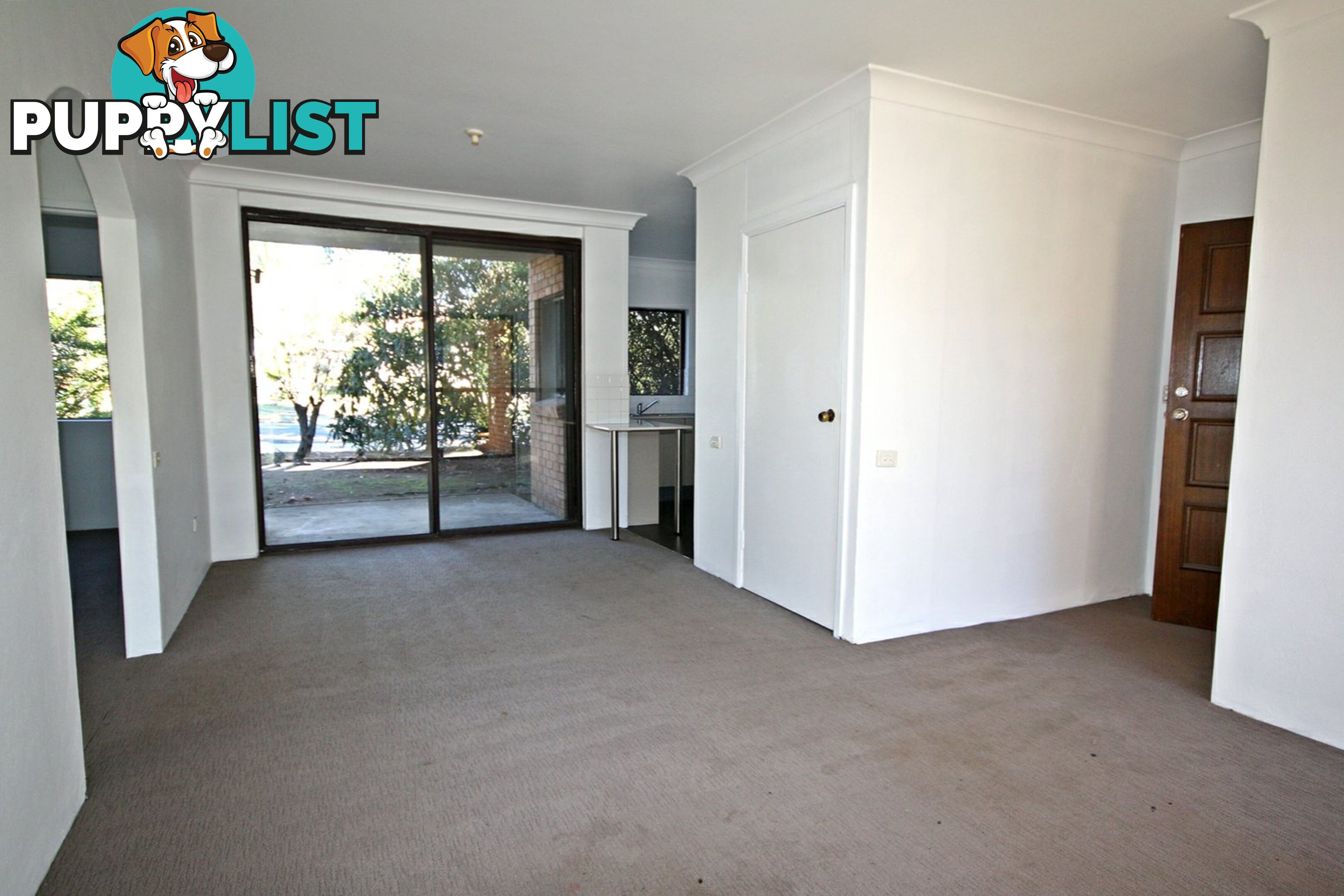 4/6 The Grov Skellatar Street MUSWELLBROOK NSW 2333