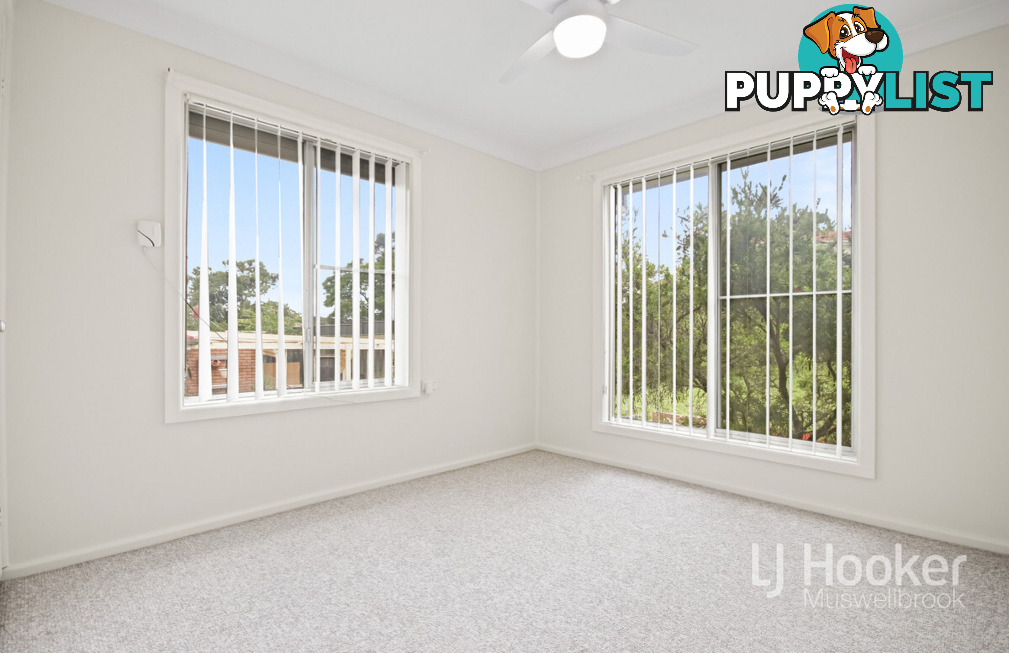 77 Maitland Street MUSWELLBROOK NSW 2333