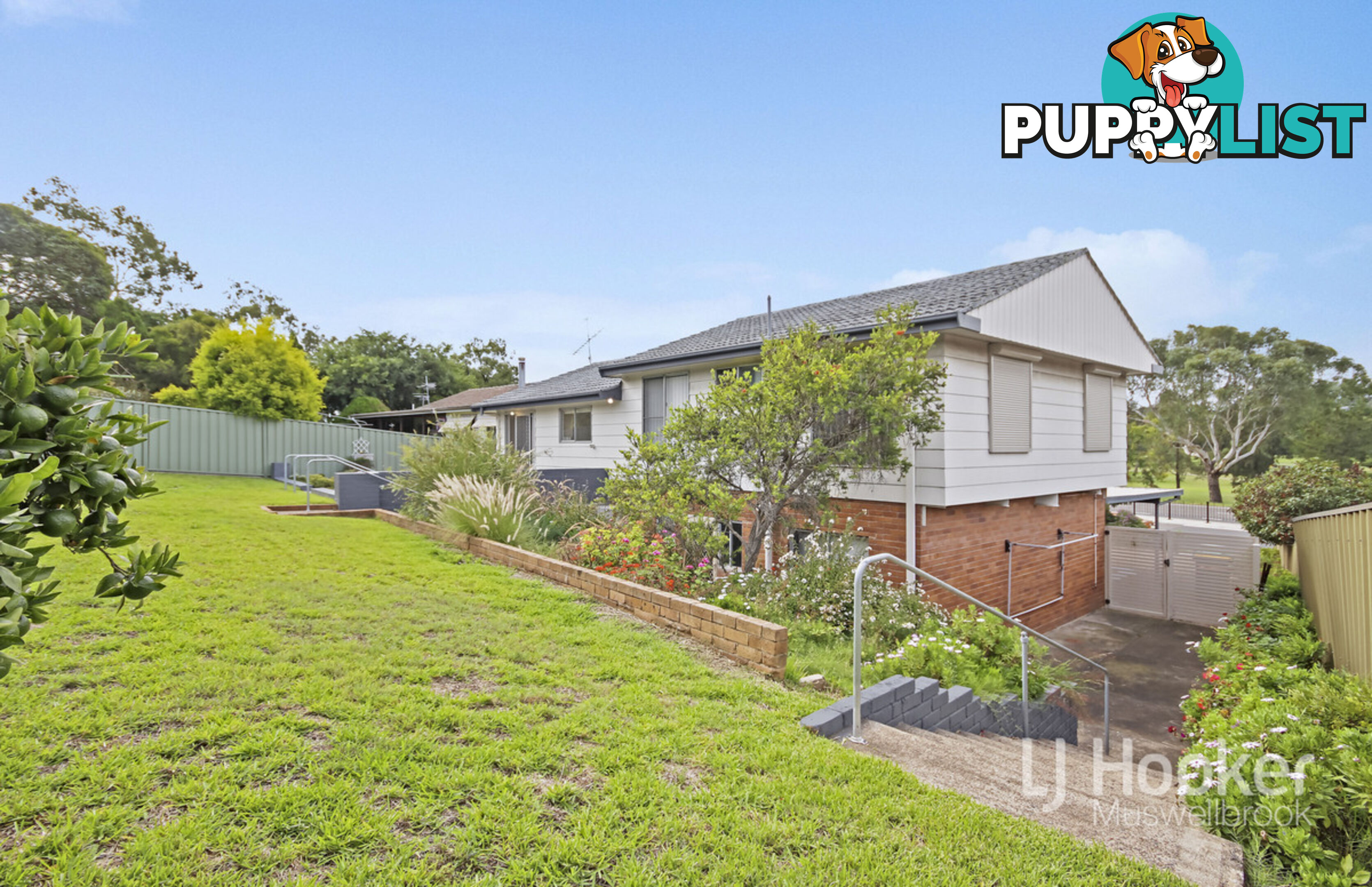 77 Maitland Street MUSWELLBROOK NSW 2333