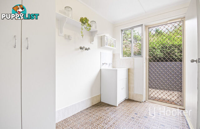77 Maitland Street MUSWELLBROOK NSW 2333