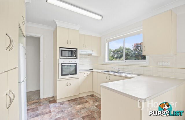 77 Maitland Street MUSWELLBROOK NSW 2333