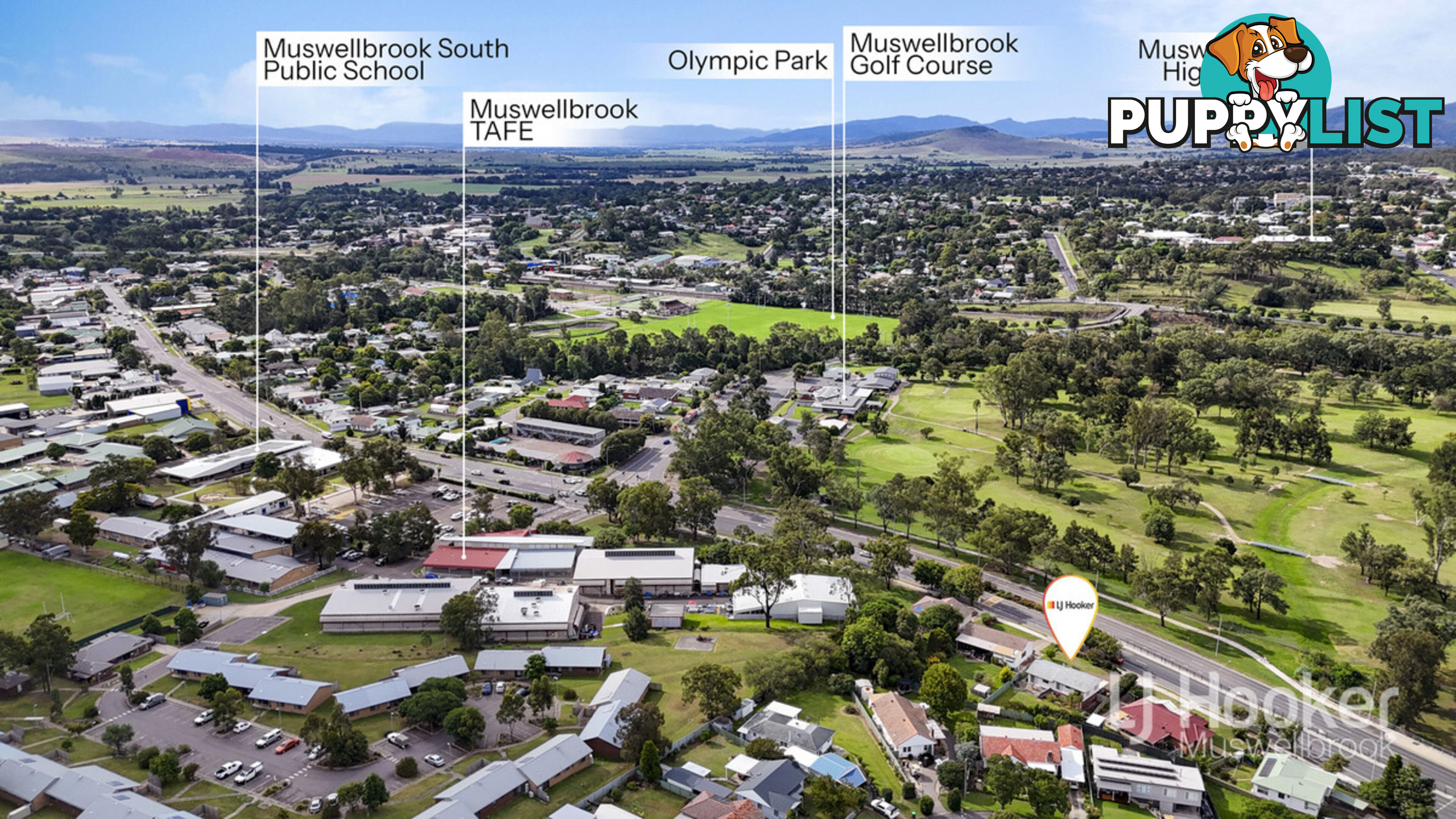77 Maitland Street MUSWELLBROOK NSW 2333