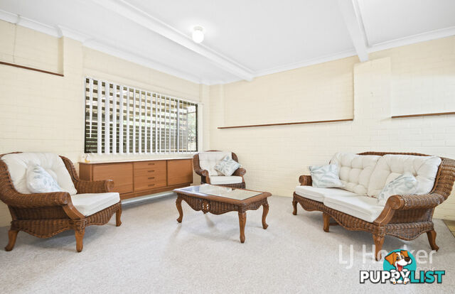 77 Maitland Street MUSWELLBROOK NSW 2333