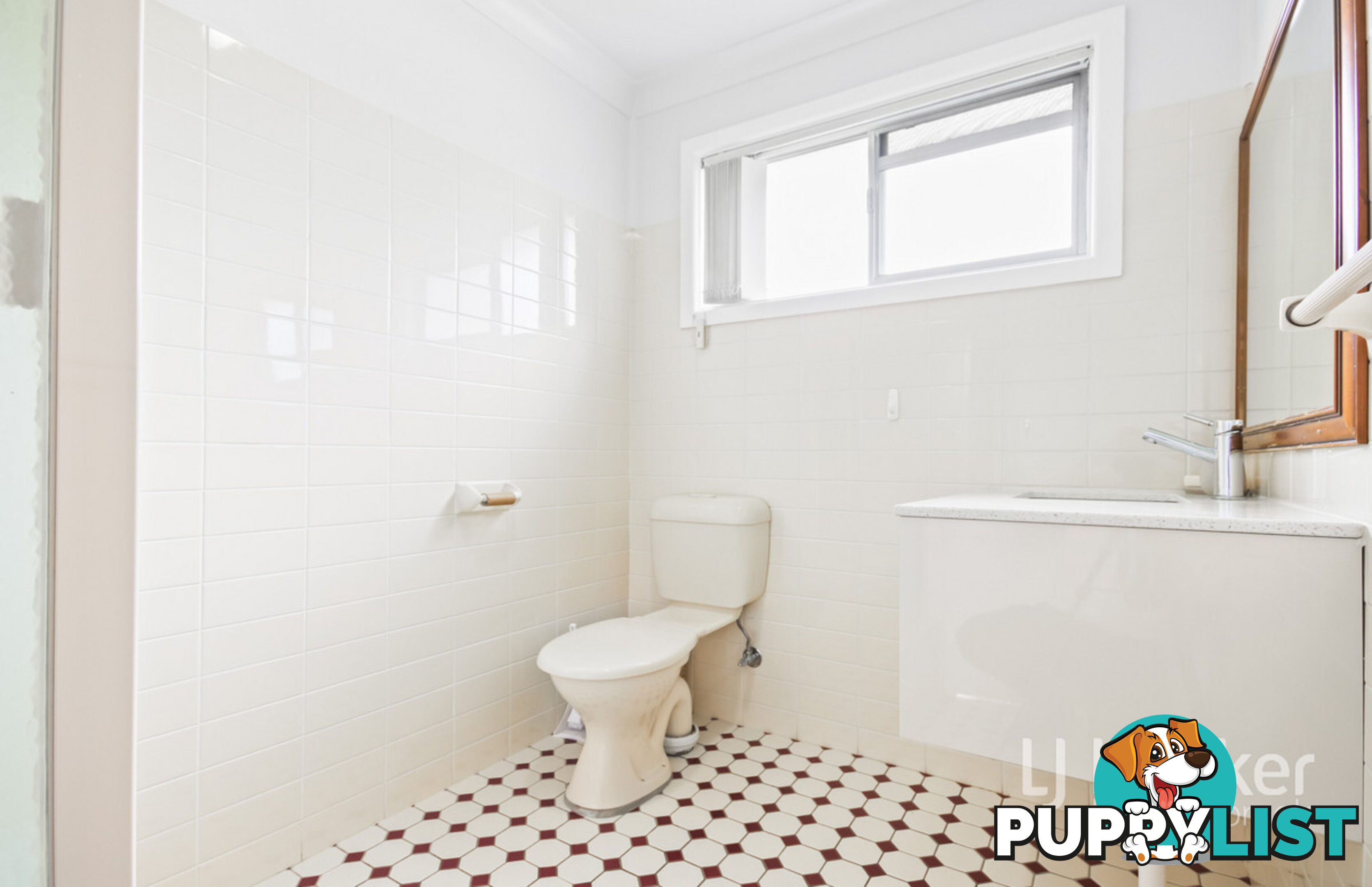 77 Maitland Street MUSWELLBROOK NSW 2333