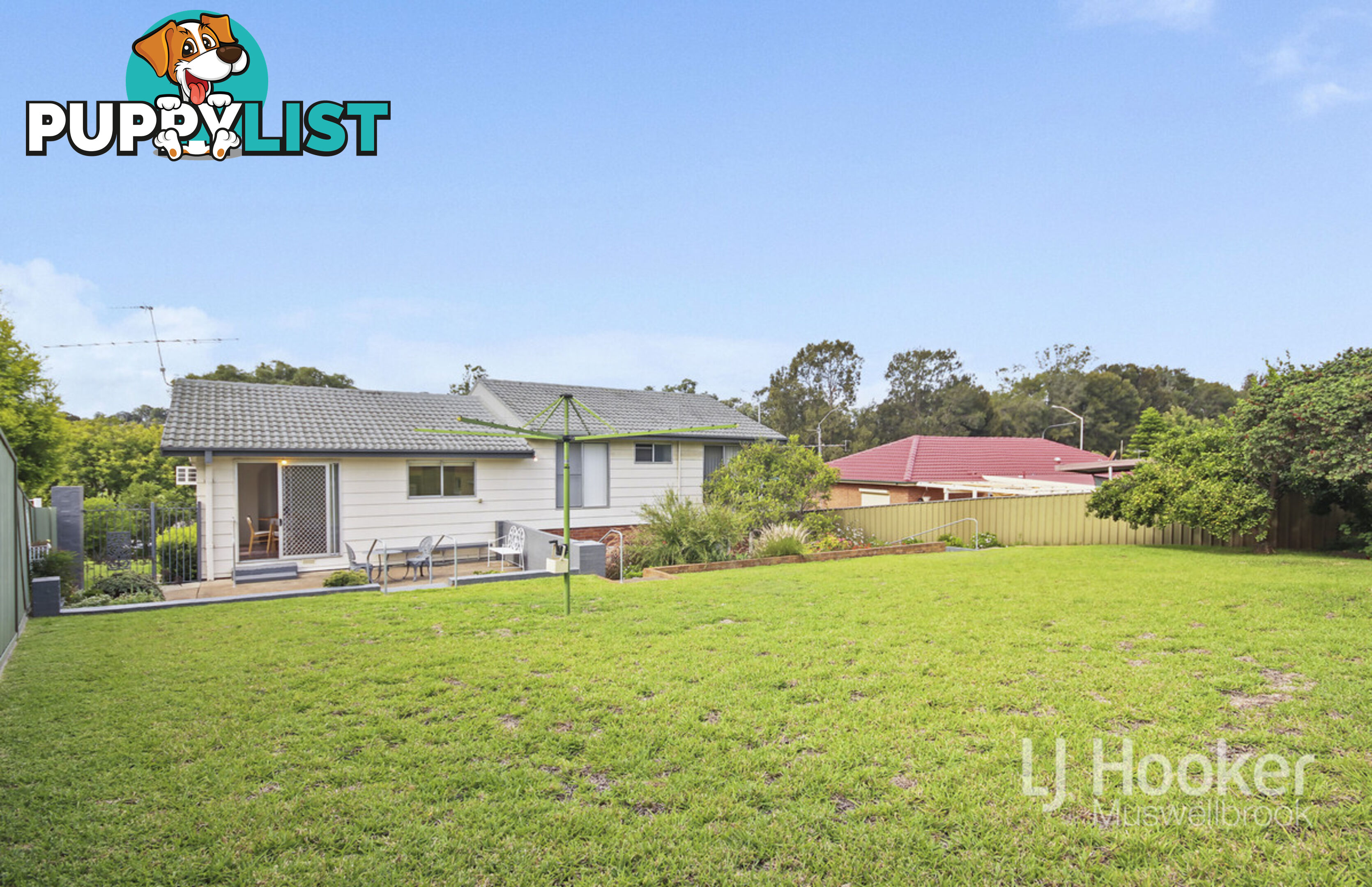 77 Maitland Street MUSWELLBROOK NSW 2333