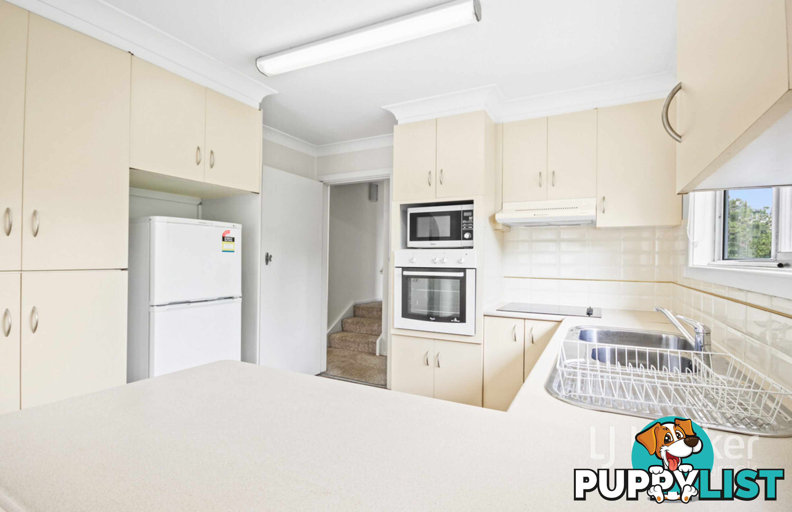 77 Maitland Street MUSWELLBROOK NSW 2333