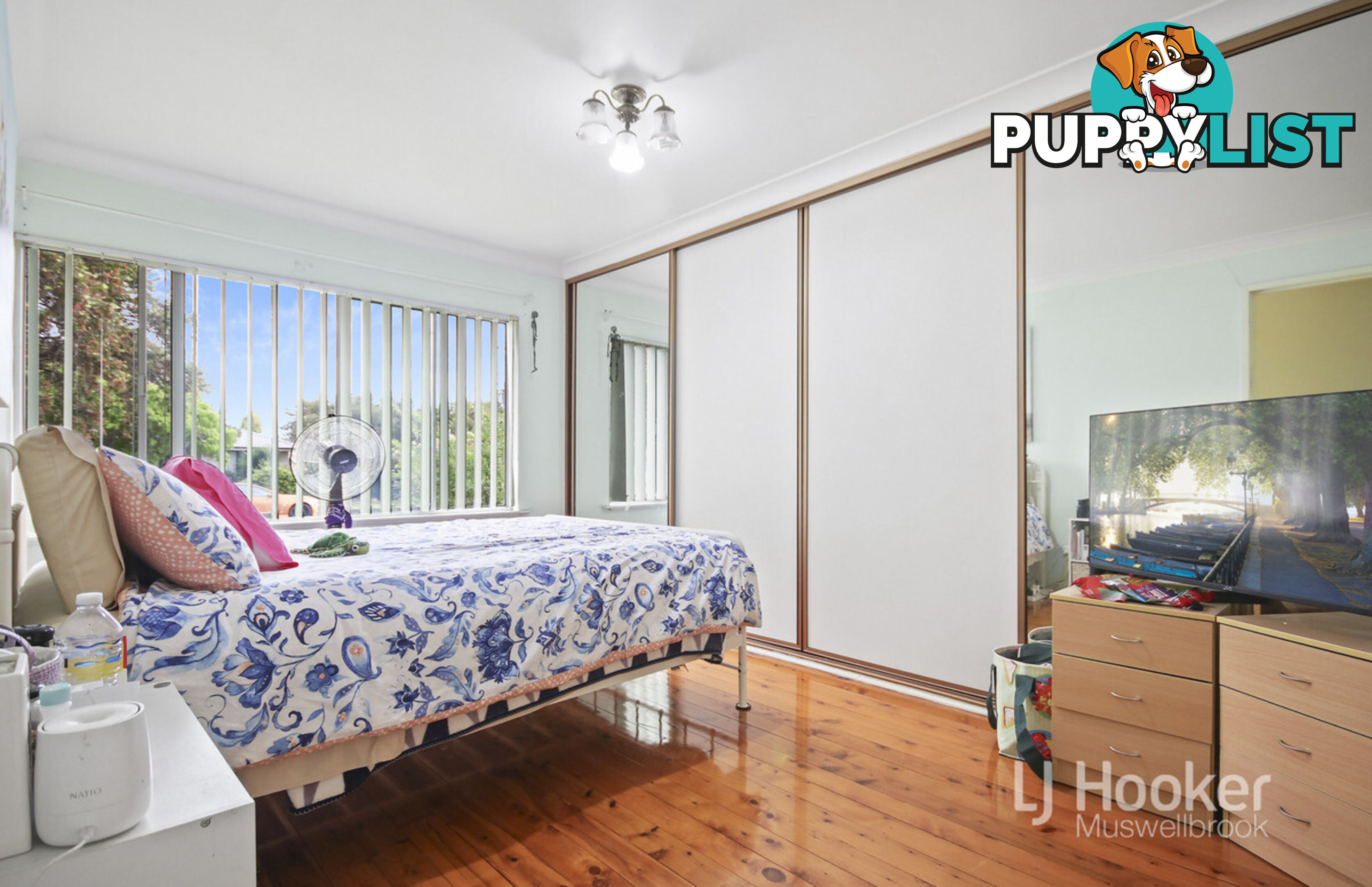 10 Martindale Street DENMAN NSW 2328