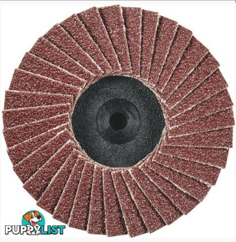 Comidisc Mini Polifan 50mm CDR A 60g Aluminium Oxide Pferd 47202528