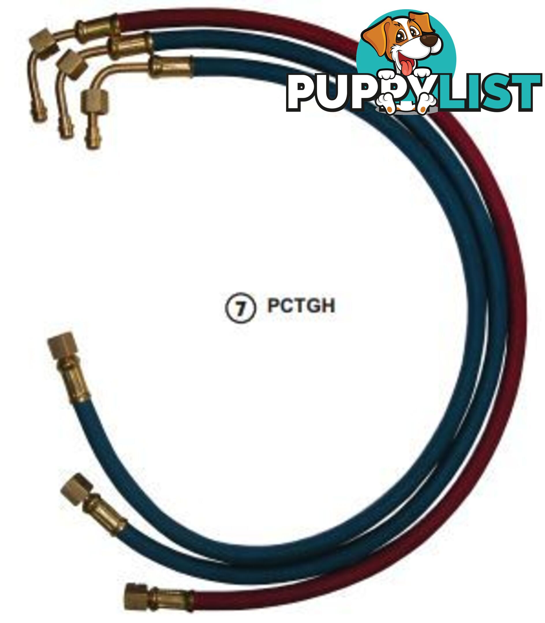 PCTGH-5/8 Torch hose set SG-30