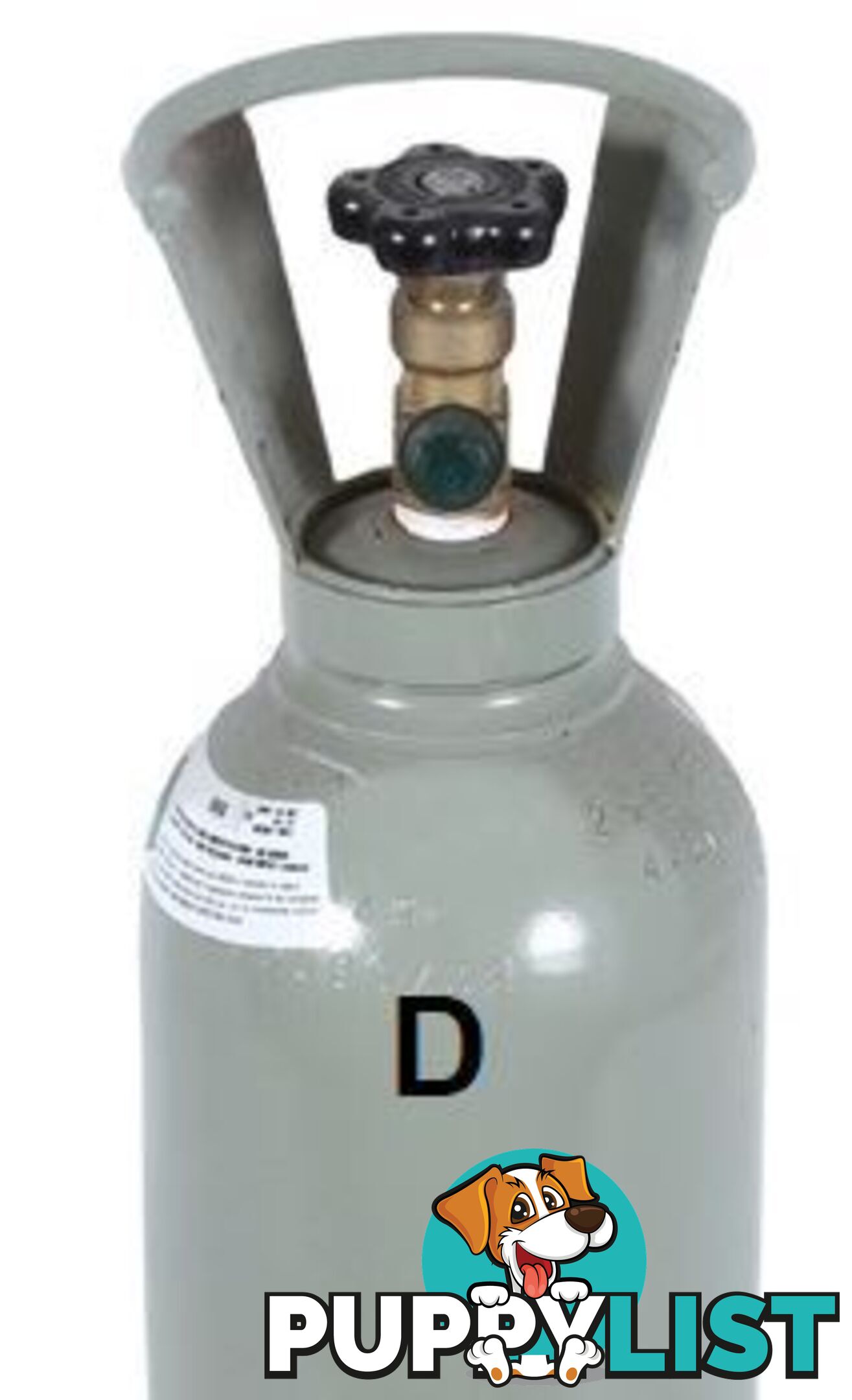 Carbon Dioxide D Size Gas Bottle including Gas GasCo2D