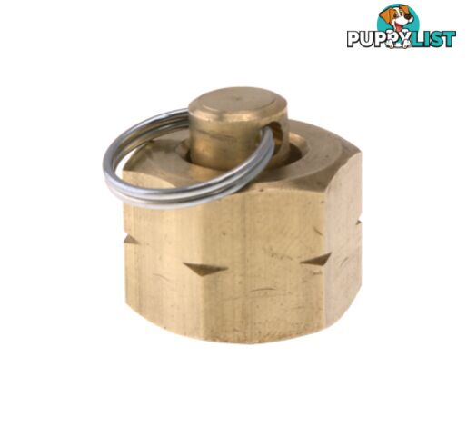 Blanking Plug L/H 3/8