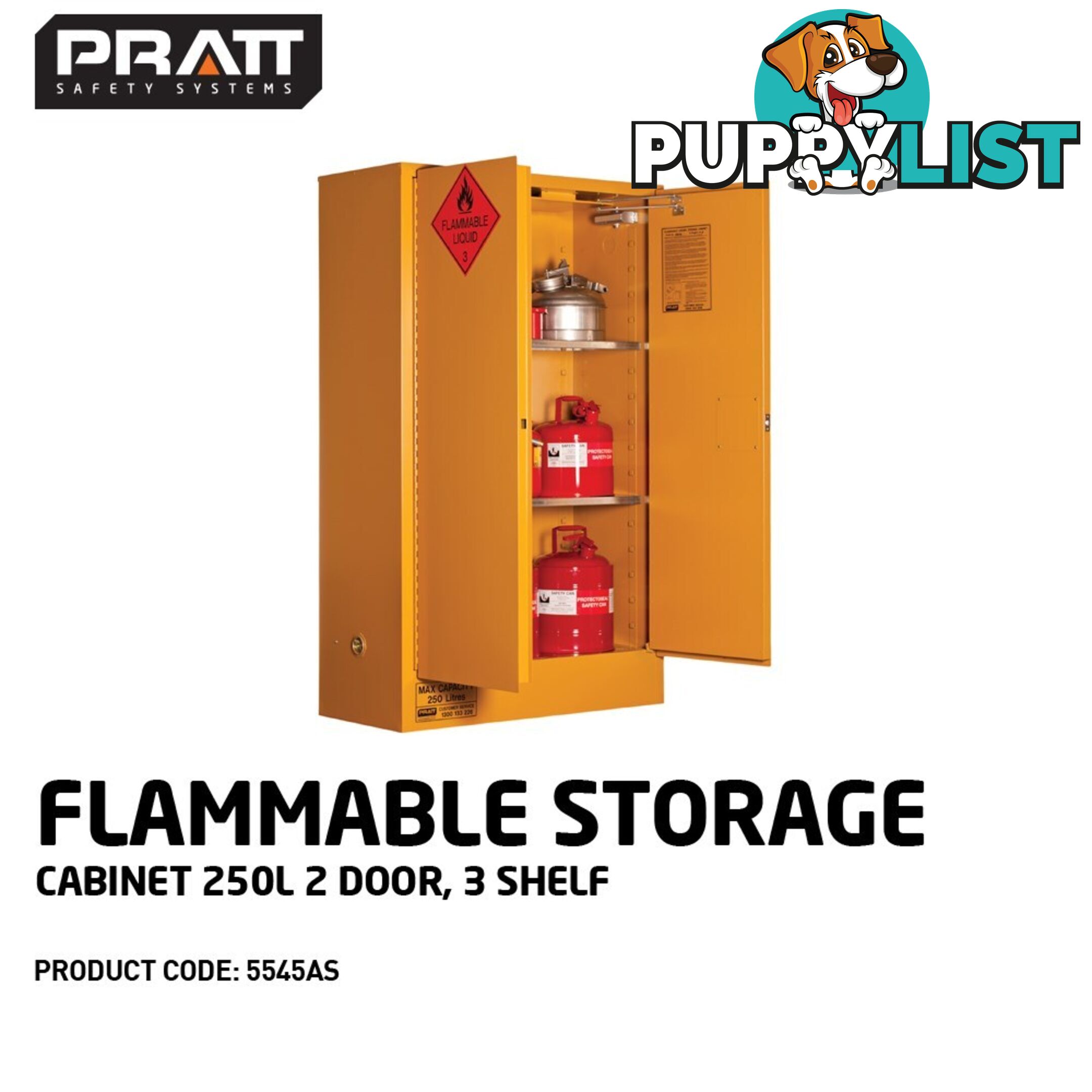 Flammable Storage Cabinet 250L 2 Door 3 Shelf 5545AS