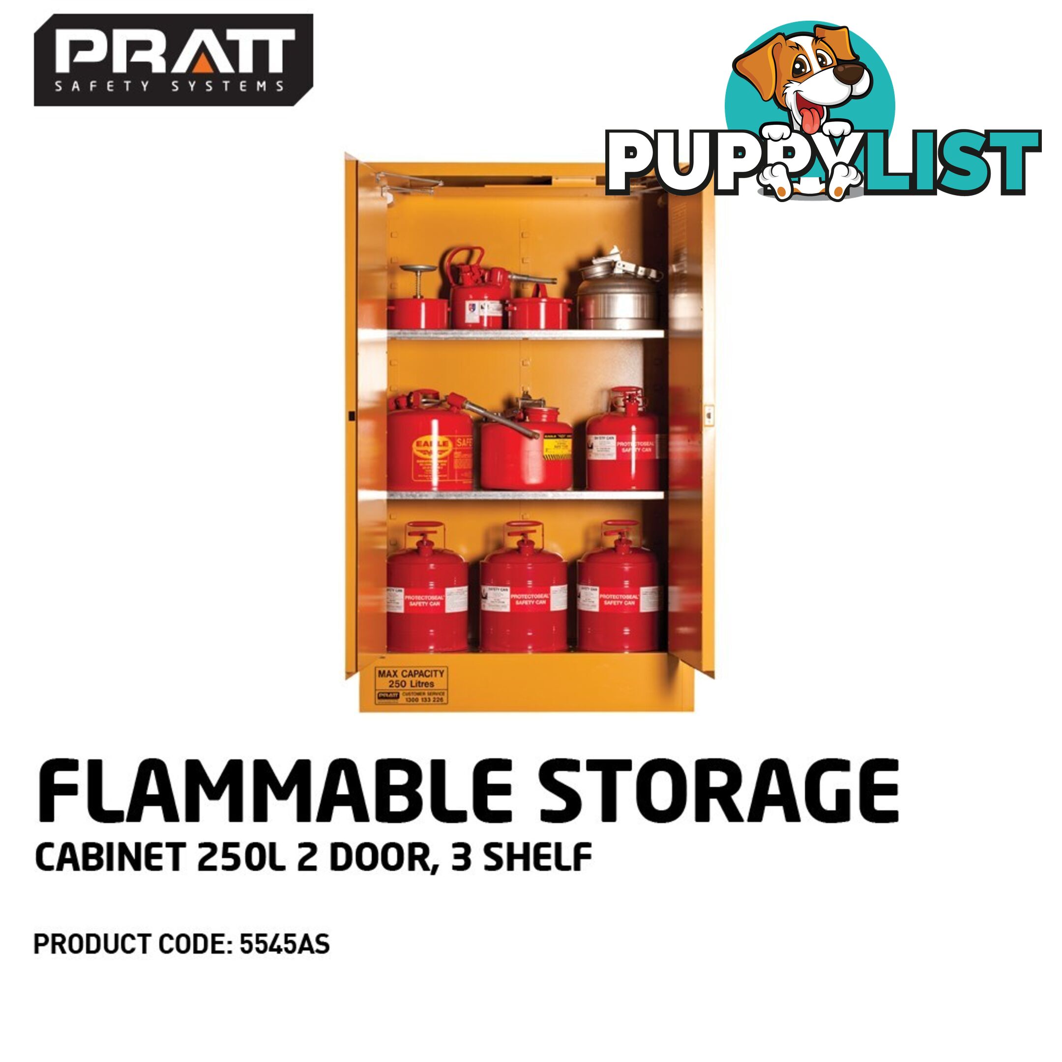 Flammable Storage Cabinet 250L 2 Door 3 Shelf 5545AS