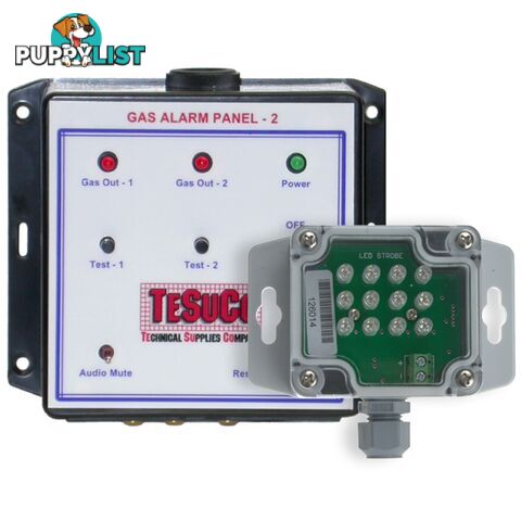 Gas Alarm Panel Visual & Audible 2 Channel C/W Strobe