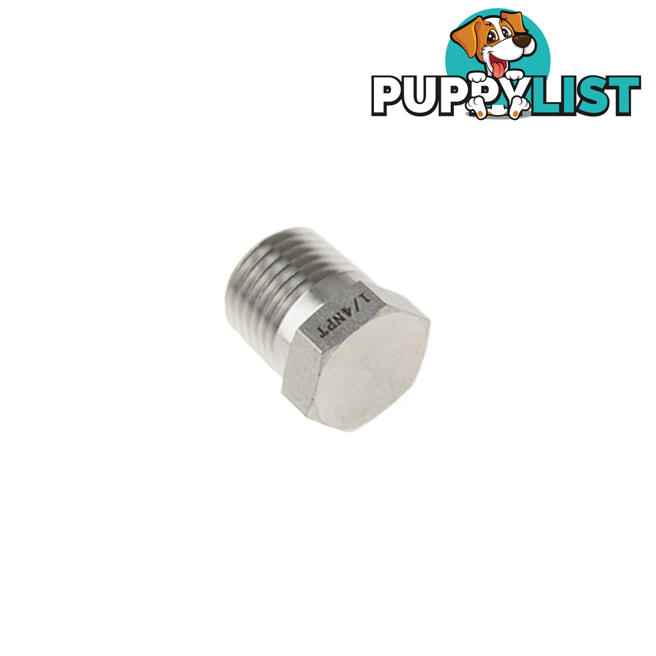 Genlok Blanking Plug Stainless Steel 1/4 NPT