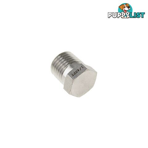 Genlok Blanking Plug Stainless Steel 1/4 NPT