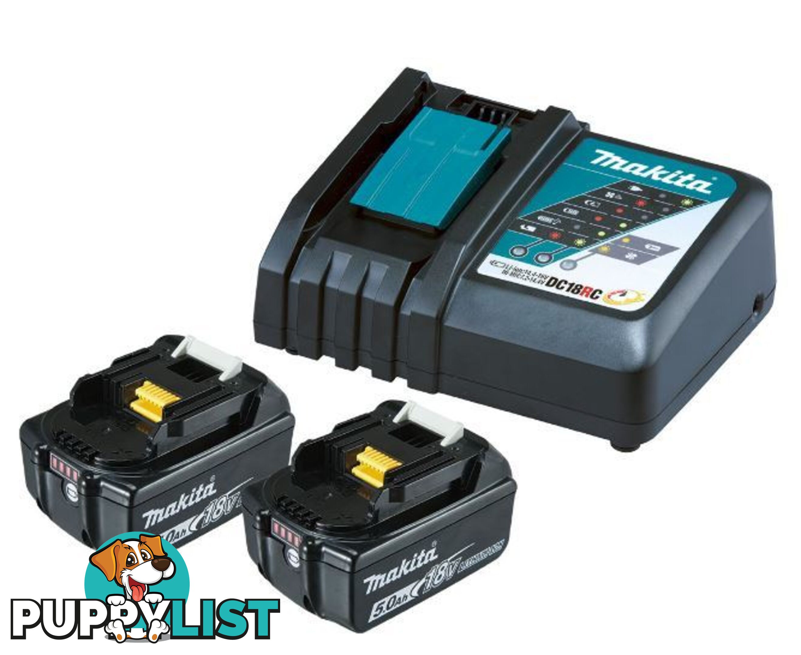 Battery Charger Single Port With Two 5.0Ah Fuel Guage Batteries 199179-3