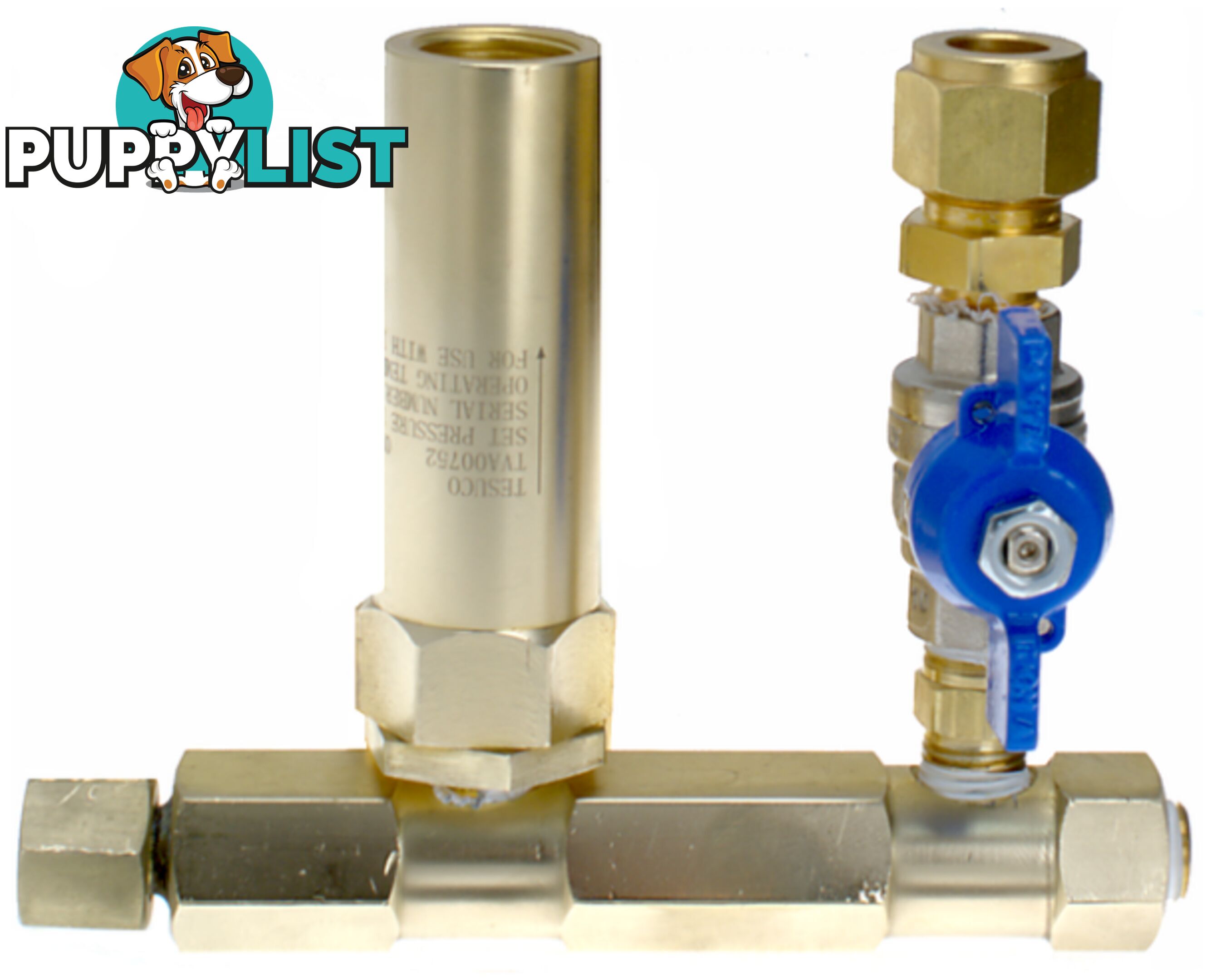 Safety Relief Valve System Fuel Gas 600 kPa