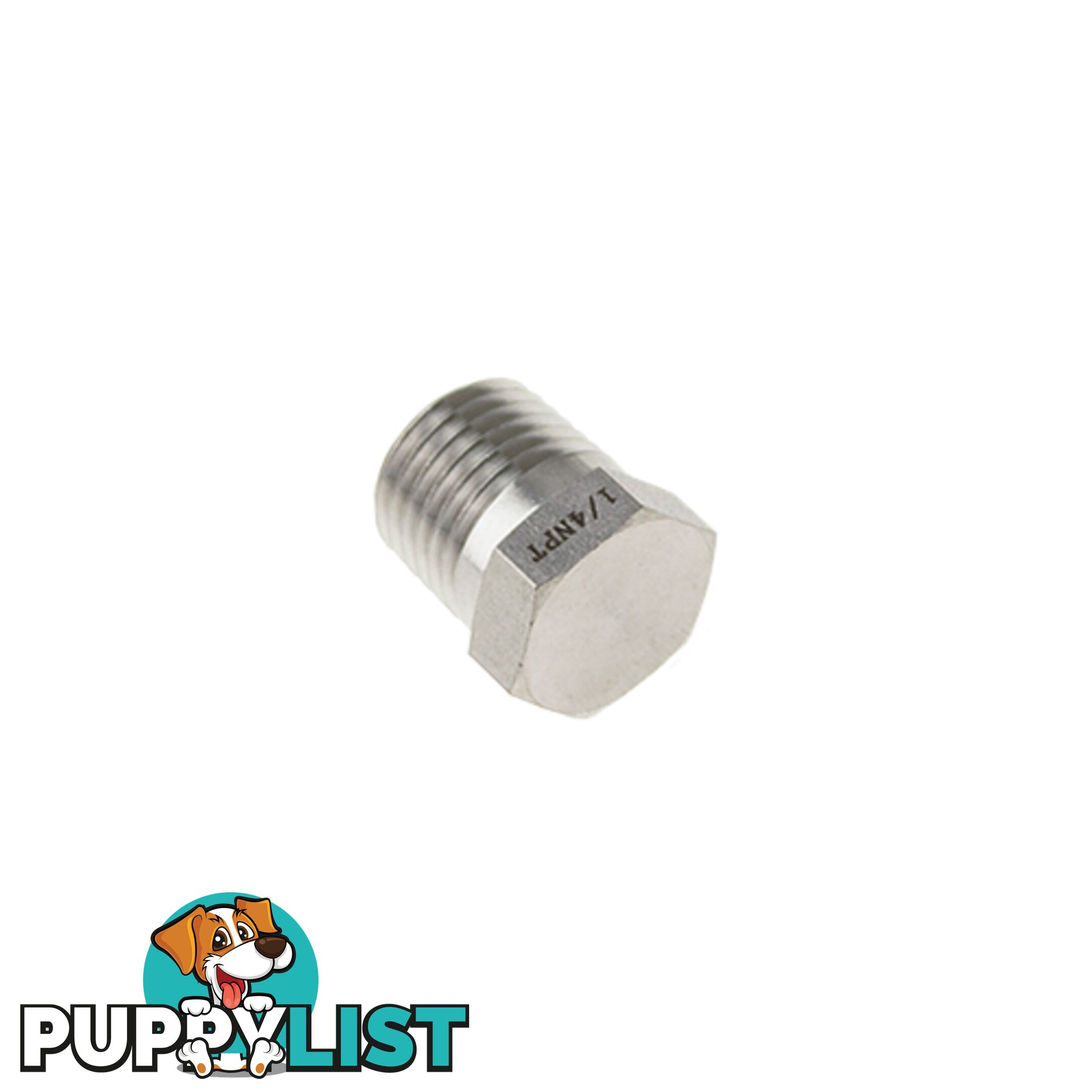 Genlok Blanking Plug Stainless Steel 1/4 NPT