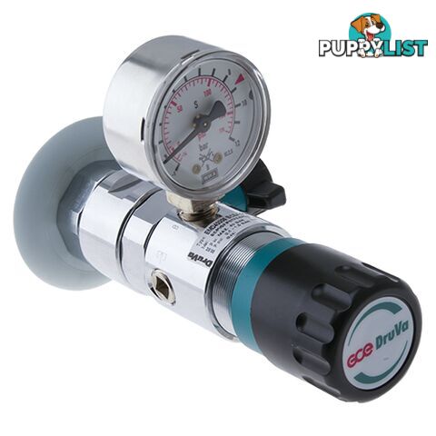 Druva Wall Mounted Point of Use Regulator Chrome Plated In: 4,000 kPa Out: 100 kPa