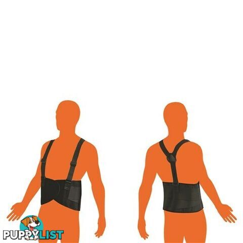 ProChoice Back Support Belt BB