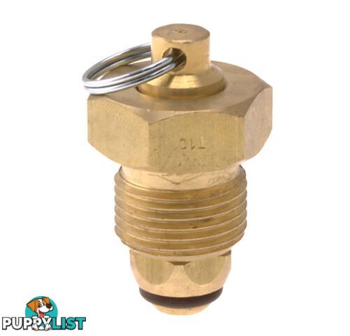 Blanking Plug Brass Tesuco