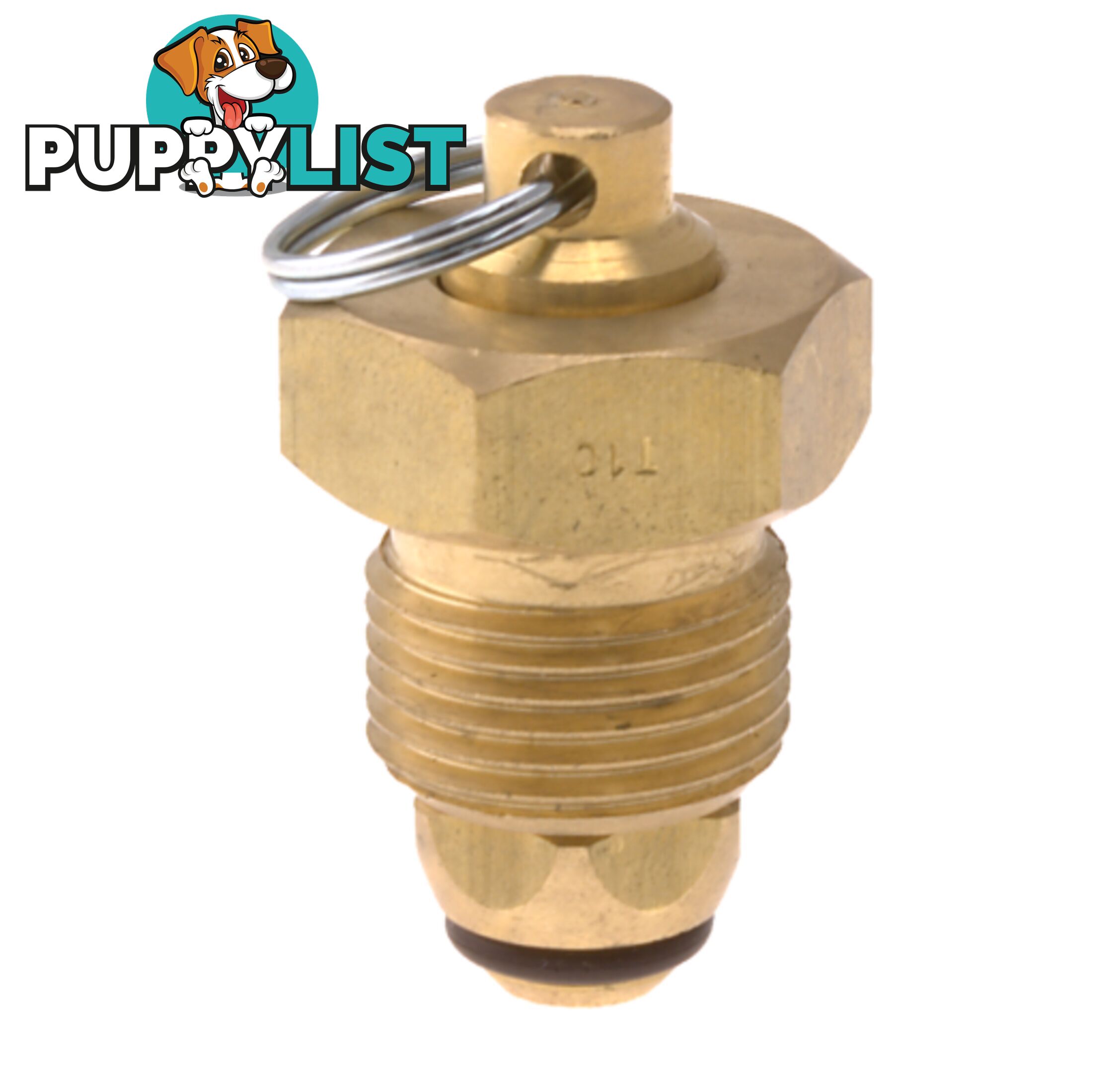 Blanking Plug Brass Tesuco