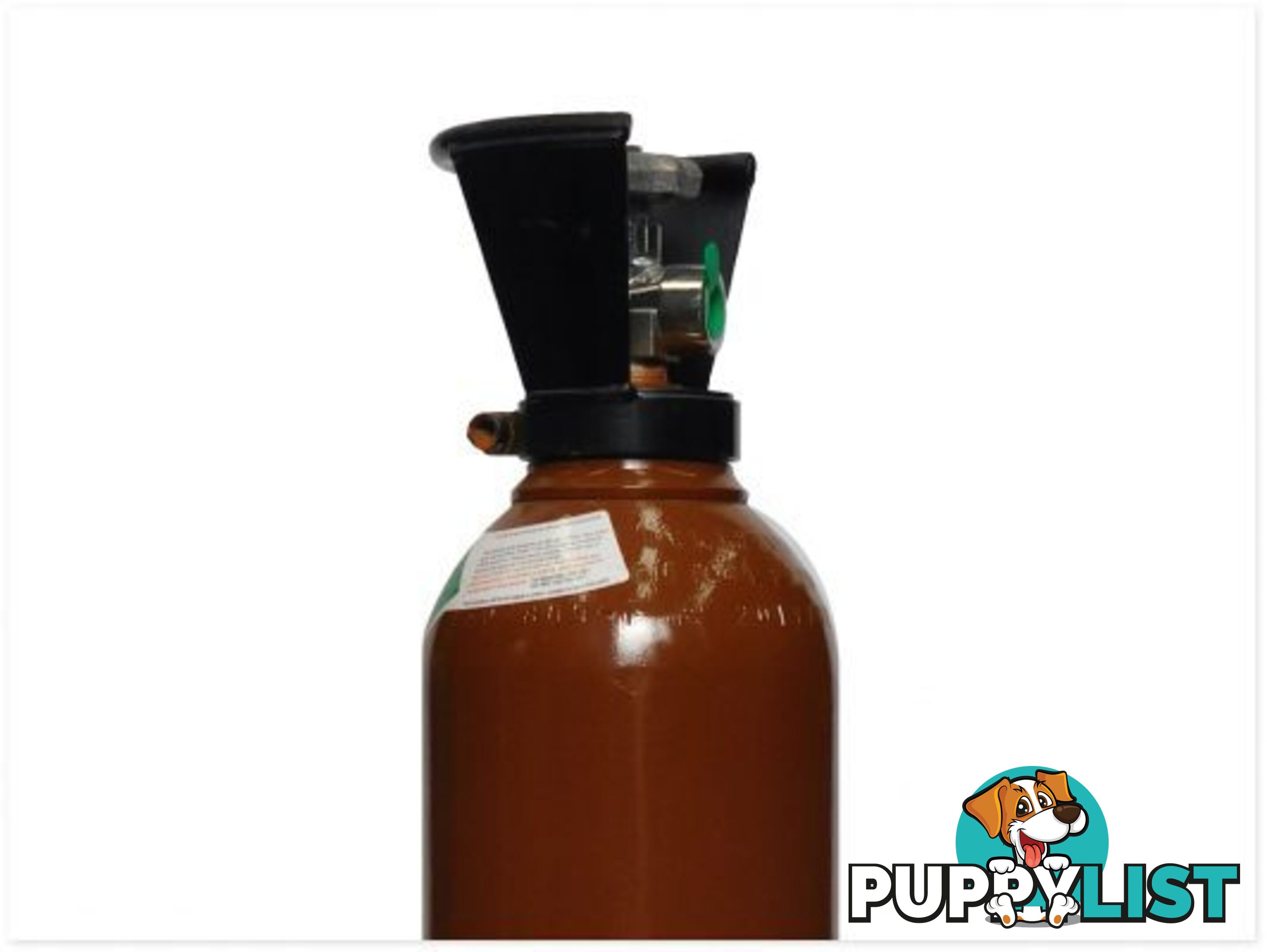 HELIUM Gas D Size Bottle + Gas Purchase Outright GASHED