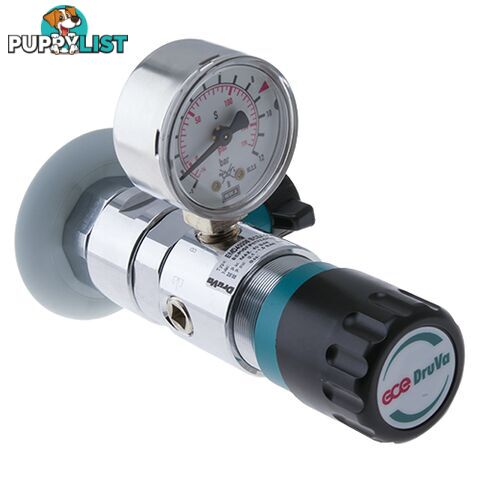 Druva Wall Mounted Point of Use Regulator Chrome Plated In: 4,000 kPa Out: 100 kPa