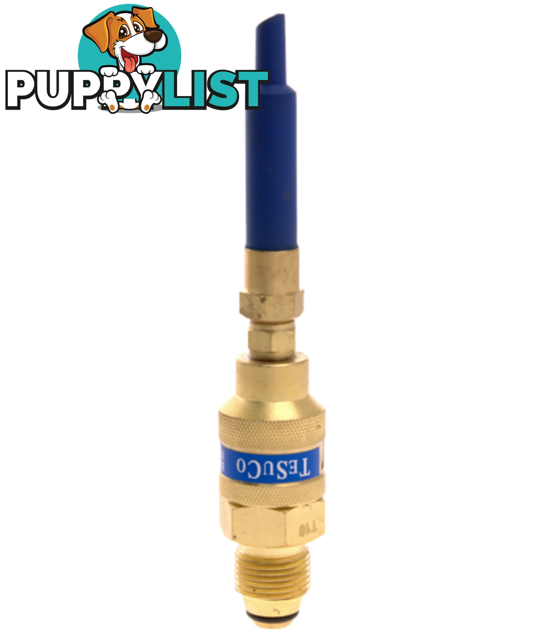 Regulator Balloon Bottom Entry Helium Type 10 In 20,000kPa RCB