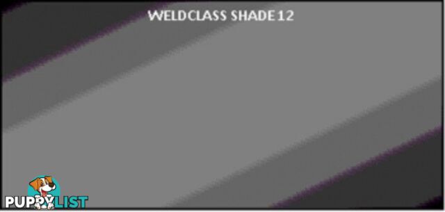 Shade 12 Lens for Std Flip-Front Helmet (108 x 51mm) EACH