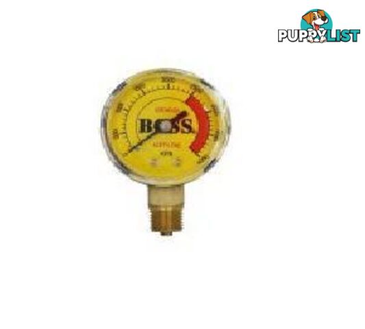 High Pressure Gauge 4000KPA for Acet Reg