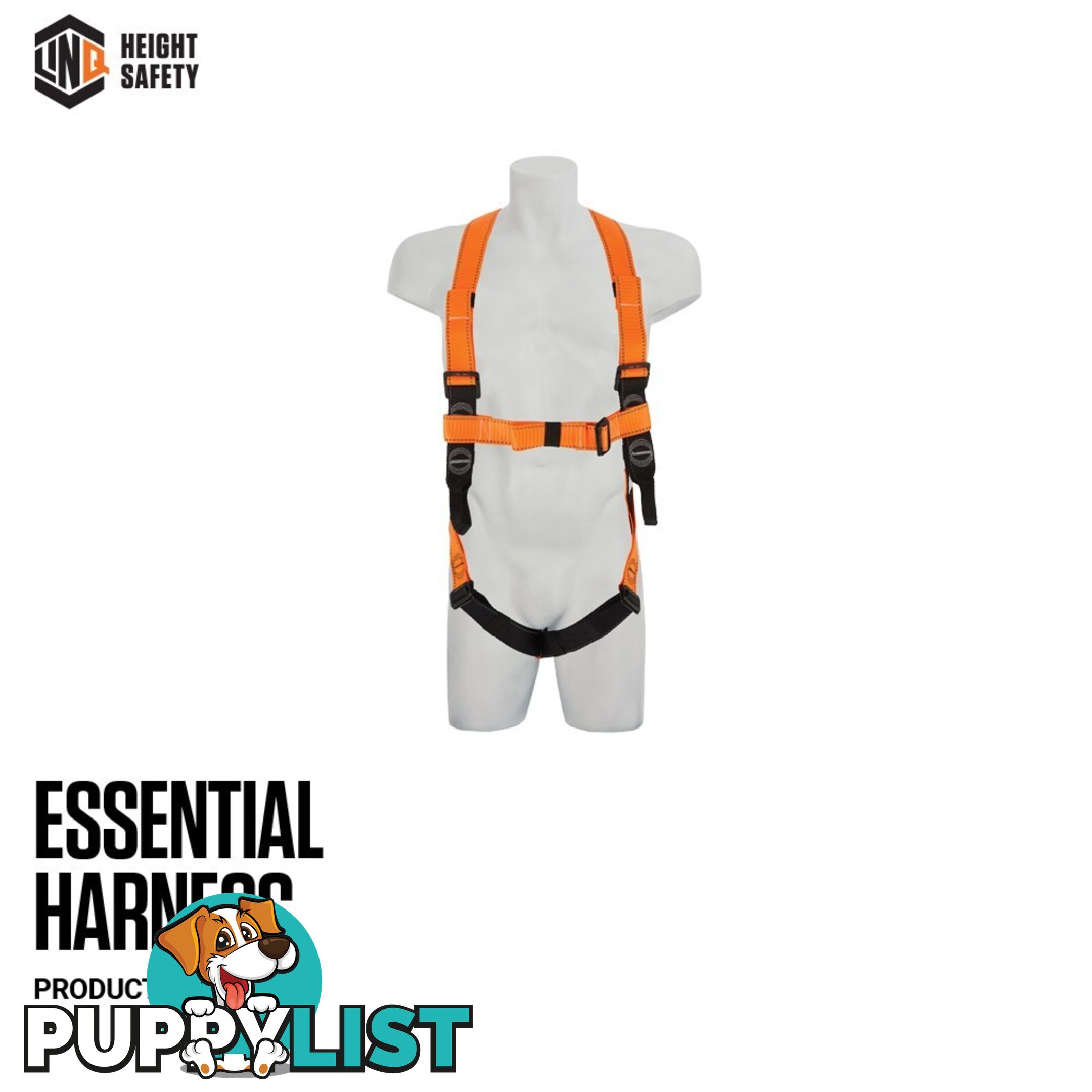 Essential Harness Standard (Medium-Large) H101