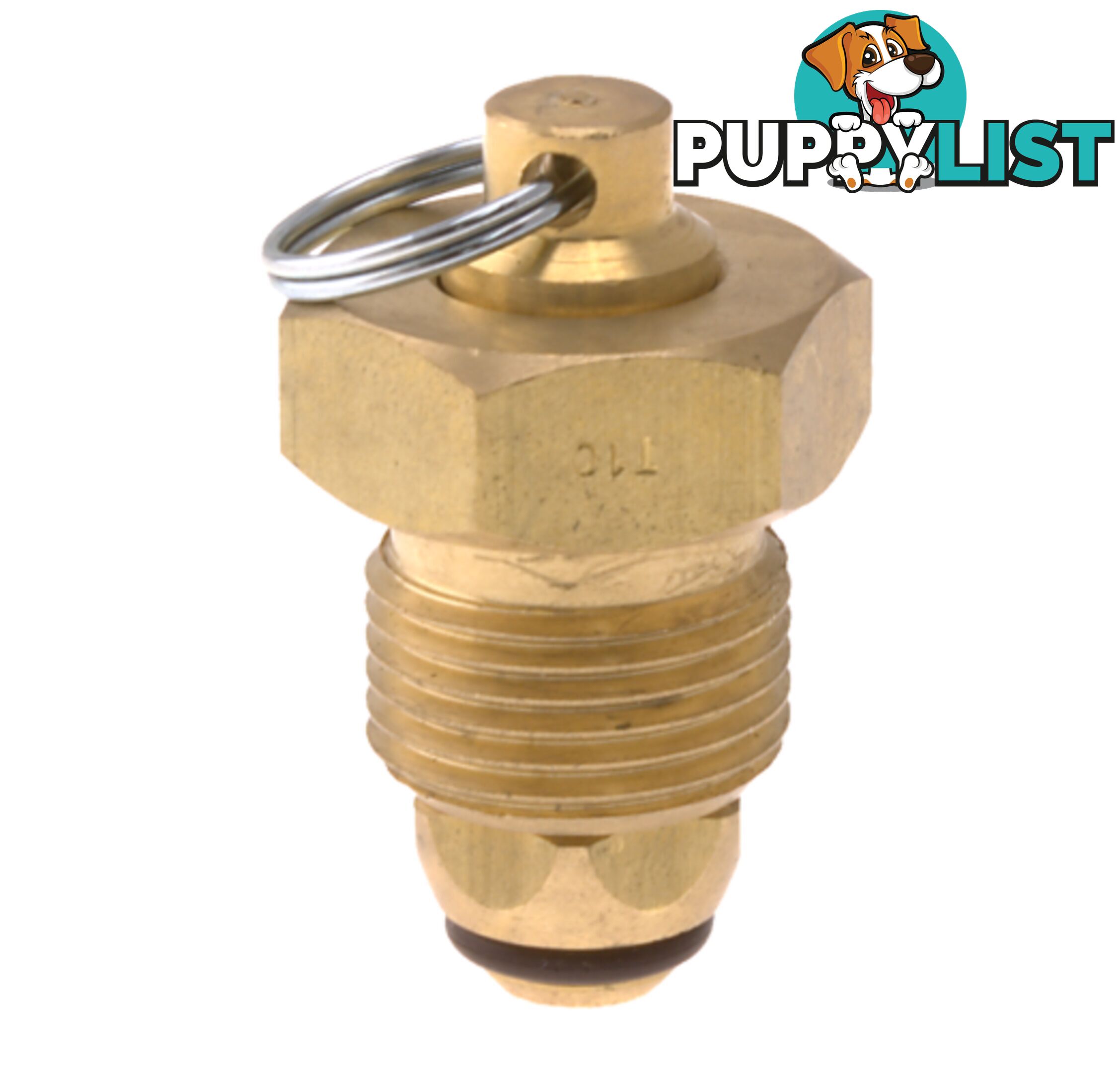 Blanking Plug Brass Tesuco