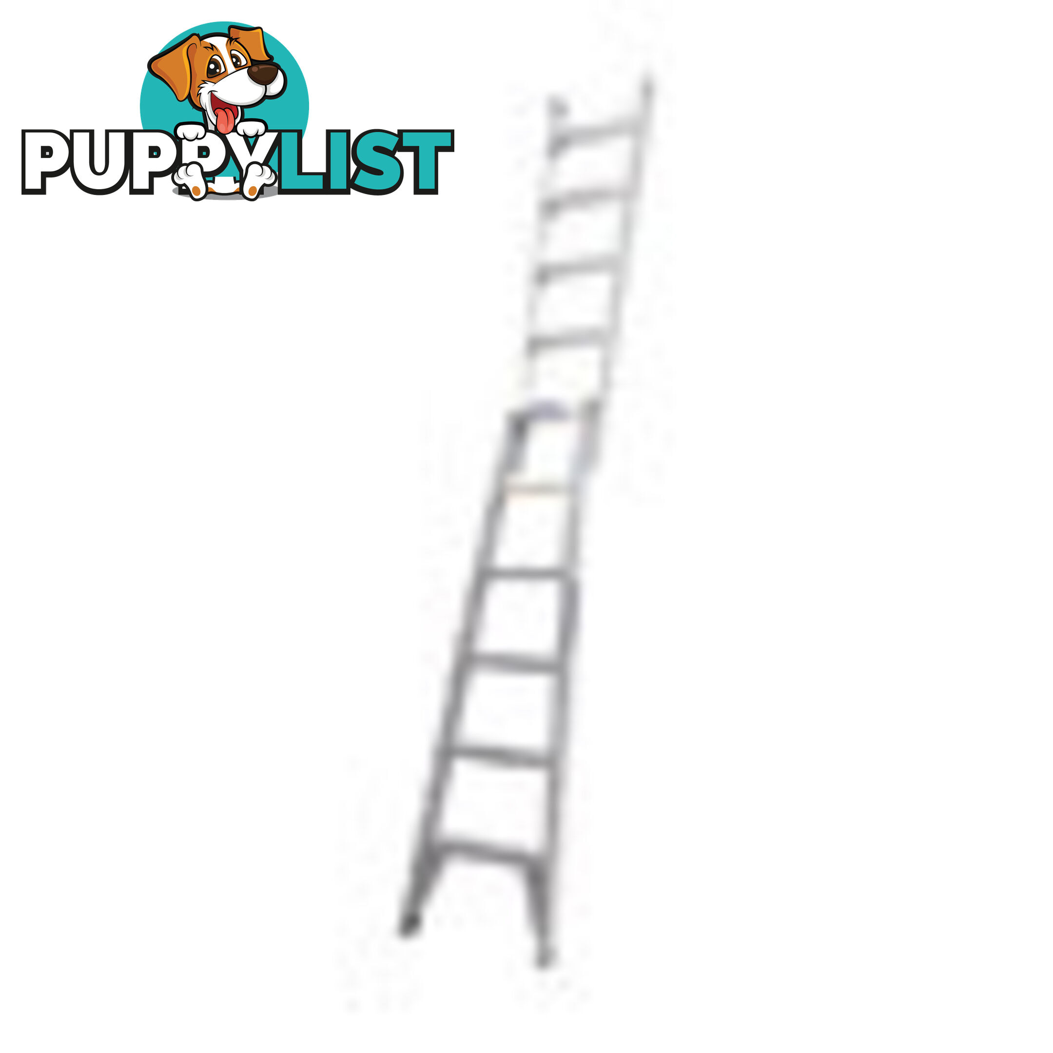 TRADE 150Kg DUAL PURPOSE LADDER