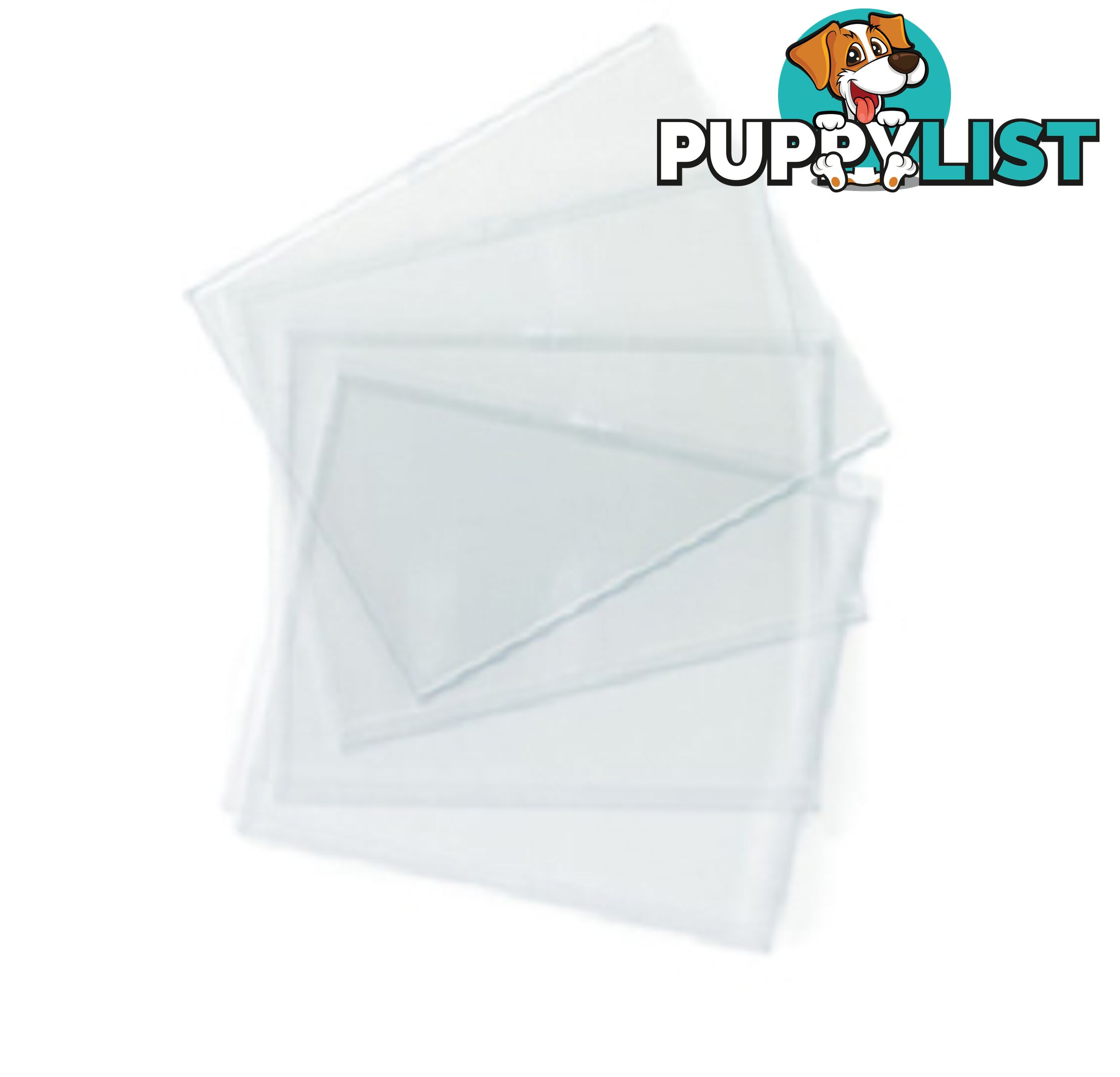 Clear Lens (Polycarbonate)