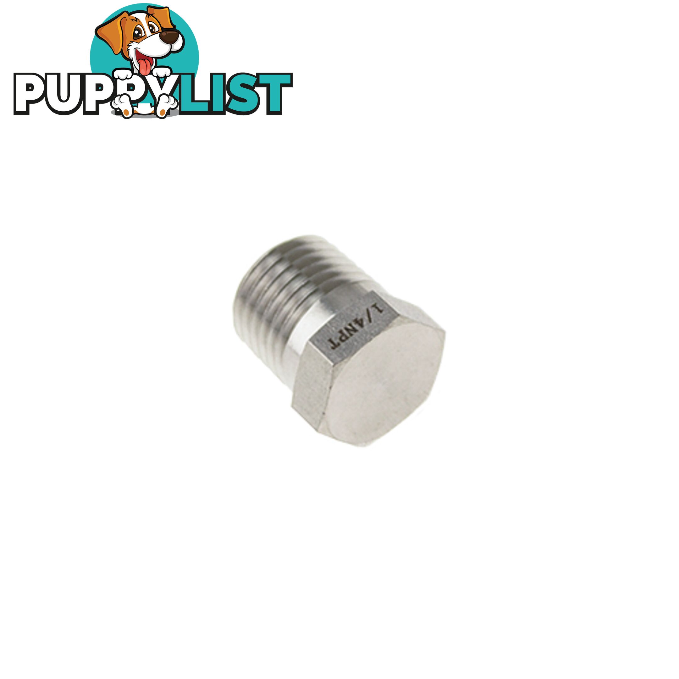 Genlok Blanking Plug Stainless Steel 1/4 NPT