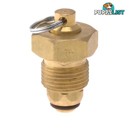 Blanking Plug Brass Tesuco