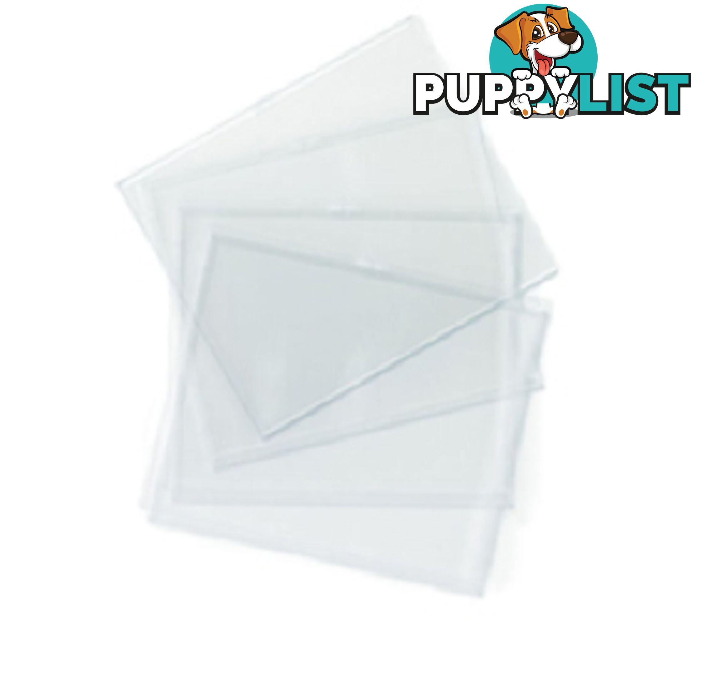 Clear Lens (Polycarbonate)