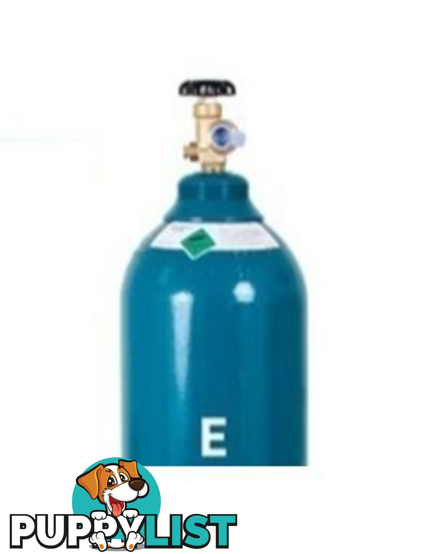 Size E 100% Pure Argon Gas Cylinder Including Gas GasArE