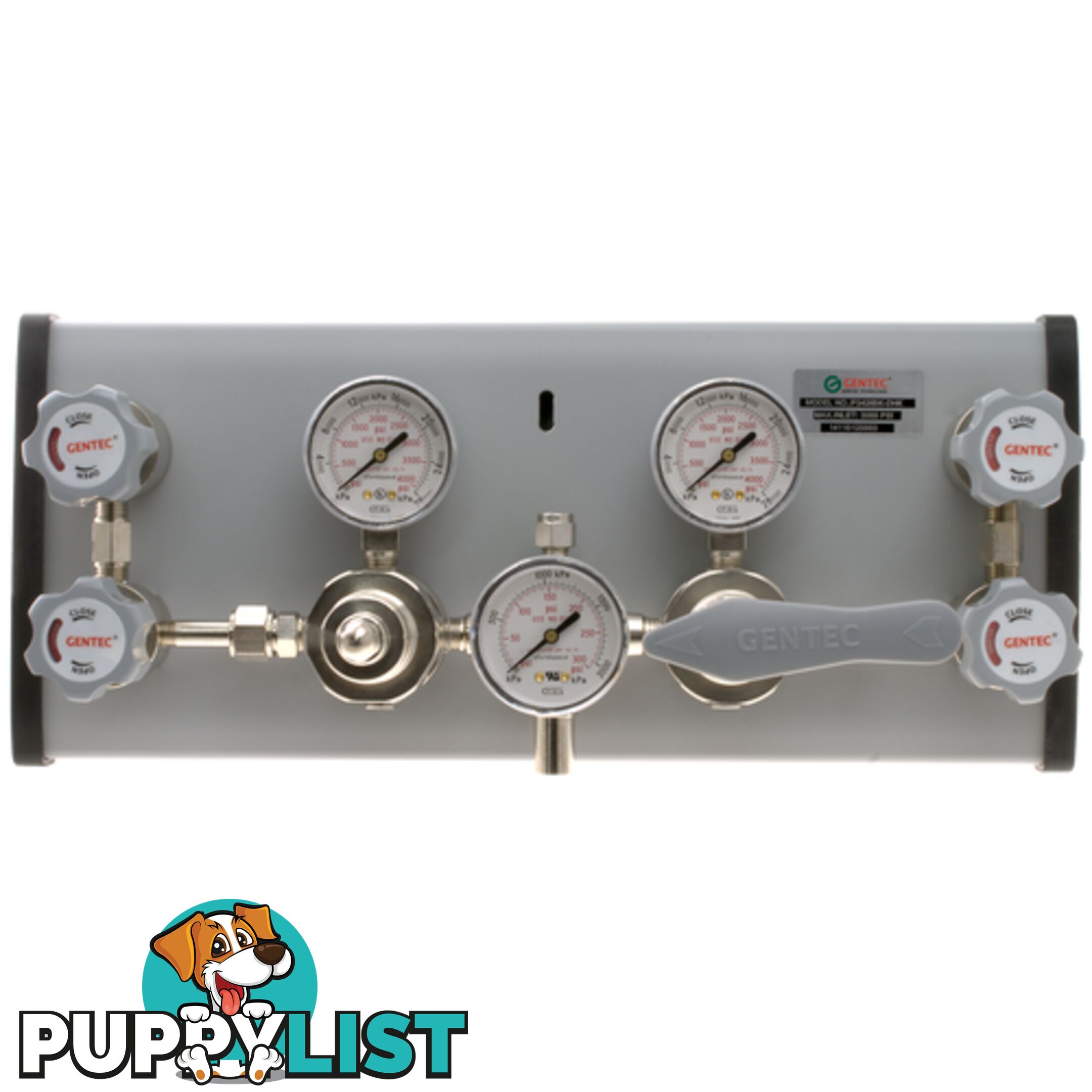 DruVa Auto-Changeover Manifold S/Auto Supply Panel 6.0 Purity Chrome Plated In: 23,000 kPa Out: 1,400 kPa